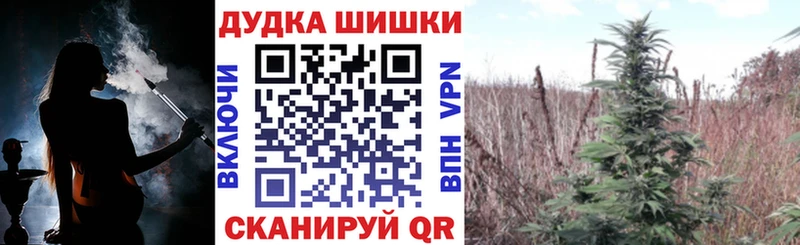 Виды наркотиков купить Камышлов ГАШИШ  Кодеин  Мефедрон  А ПВП 