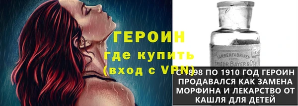 молекула духа Арсеньев