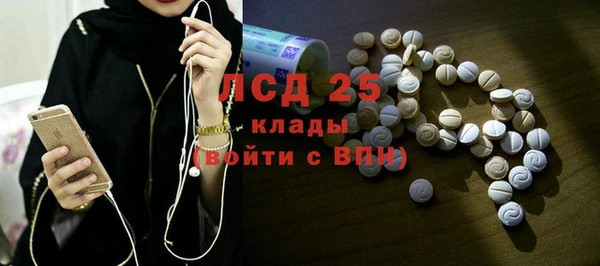 молекула духа Арсеньев