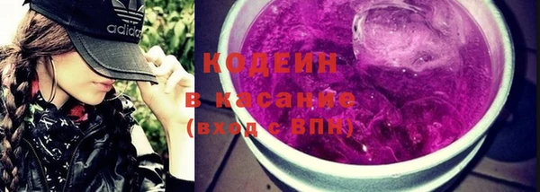 молекула духа Арсеньев