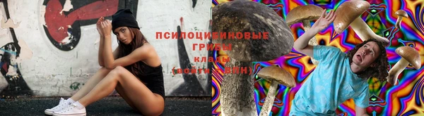 молекула духа Арсеньев