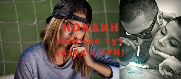 сатива Аркадак